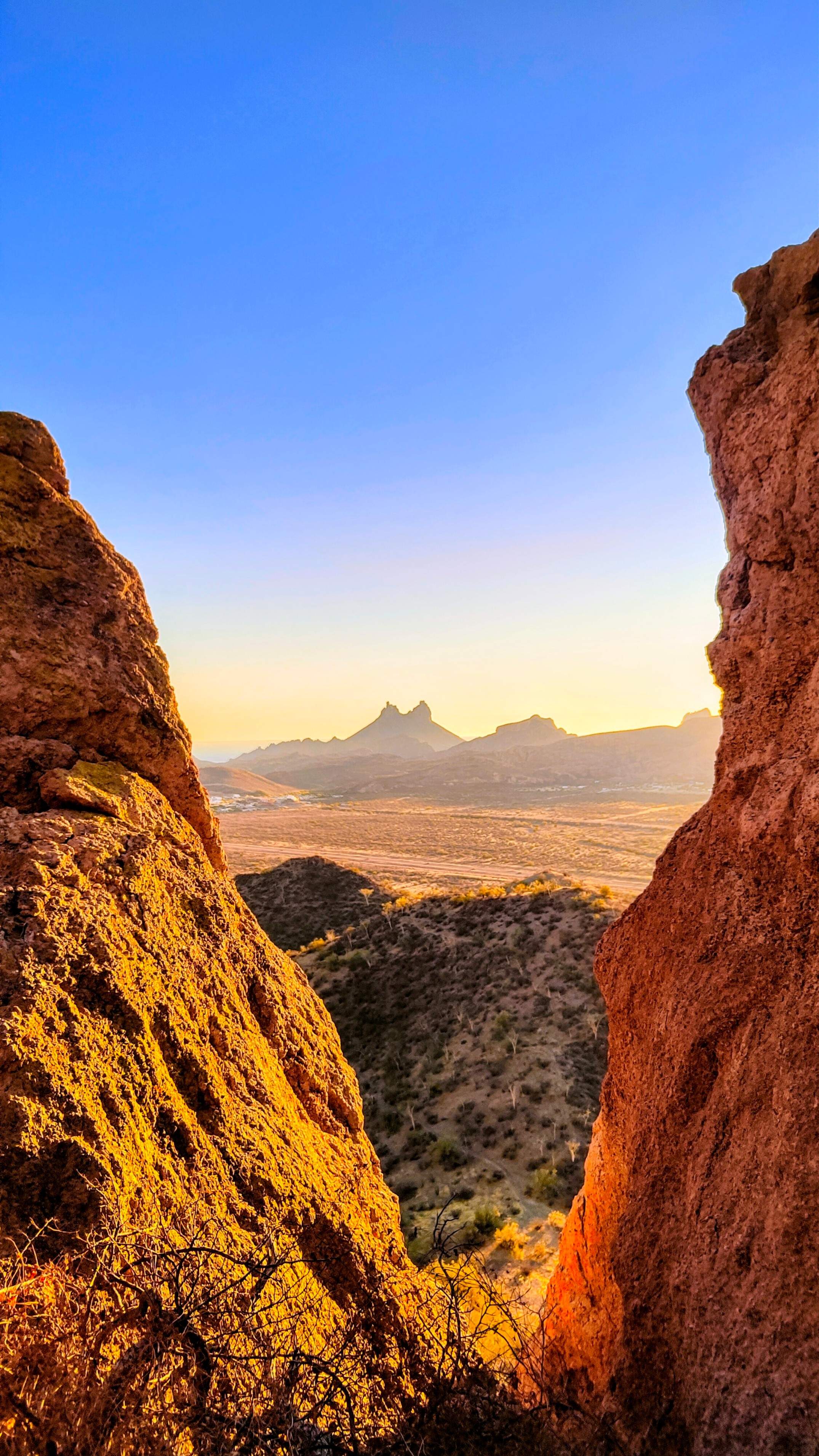 Desierto de San Carlos